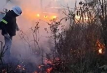 Incendios en reserva Río Lagartos en Yucatán causa afectaciones