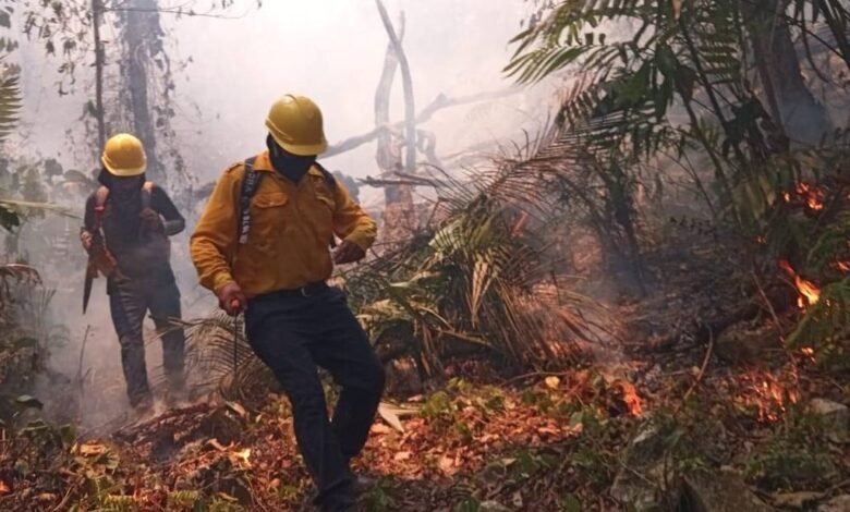 Combaten incendio forestal en área natural protegida de Sinaloa