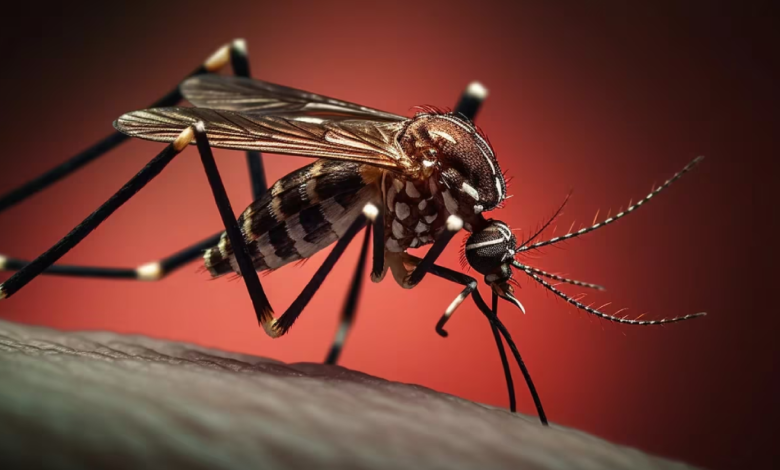 Tabasco continúa siendo uno de los estados más afectados por el dengue