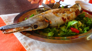 El Pejelagarto: Un fósil viviente en la gastronomía Tabasqueña