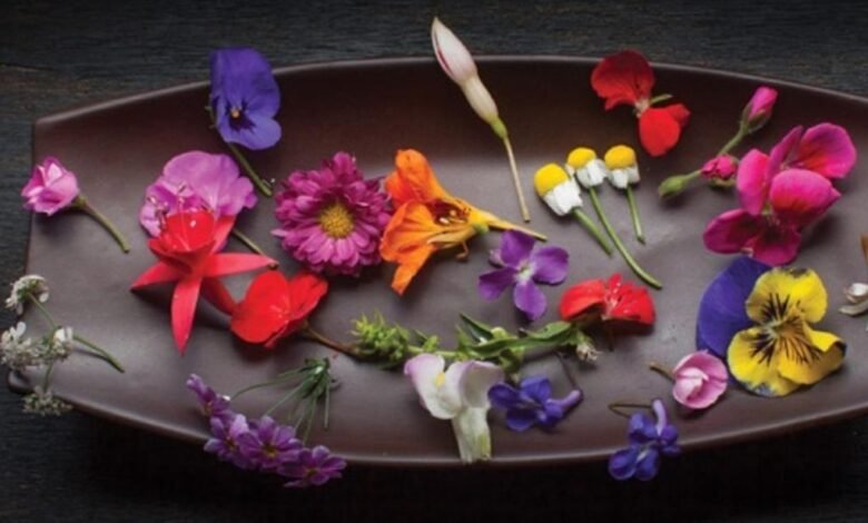 Flores en el plato: Una experiencia culinaria aromática y nutritiva