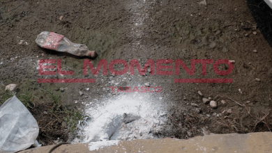 Invasión de ratas en casas y vehículos por bodega de alimentos denuncian en Guayabal