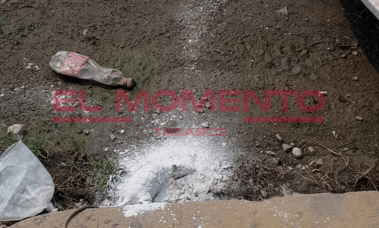 Invasión de ratas en casas y vehículos por bodega de alimentos denuncian en Guayabal
