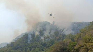 Activan Guardia Nacional Plan GN-A contra incendio en el Área Natural Protegida Cañón del Usumacinta
