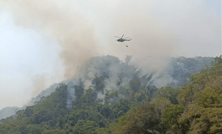 Activan Guardia Nacional Plan GN-A contra incendio en el Área Natural Protegida Cañón del Usumacinta