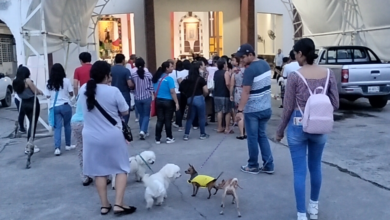 Fieles acuden con sus perritos a recibir la bendición en Tabasco