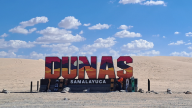 Las Dunas de Samalayuca: Un oasis de arena en el desierto de Chihuahua