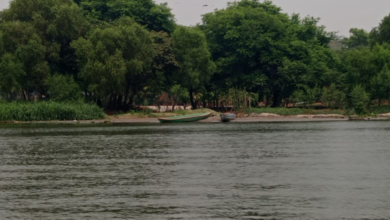 Superan meta de dragado de ríos de Tabasco, acción que mitigará desbordamientos