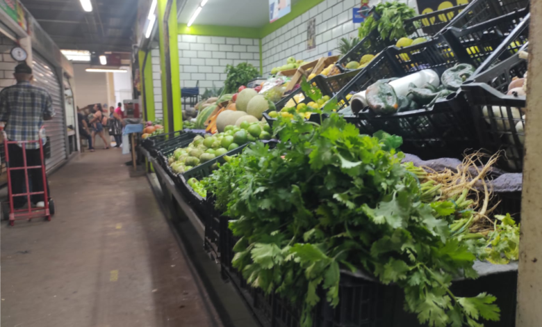 Padecen comerciantes y usuarios incremento de hasta el doble en el precio del cilantro debido a la sequía