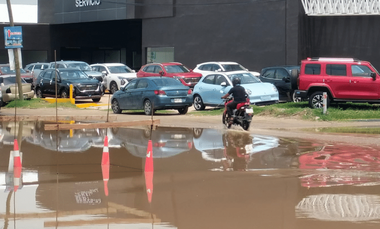 Cada lluvia un martirio cruzar "lago" de lodo para habitantes y trabajadores de Emiliano Zapata