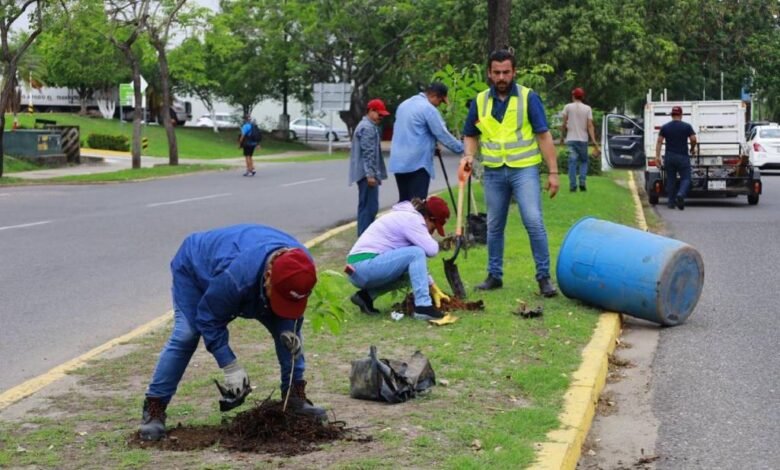 Avanza reforestación en Villahermosa