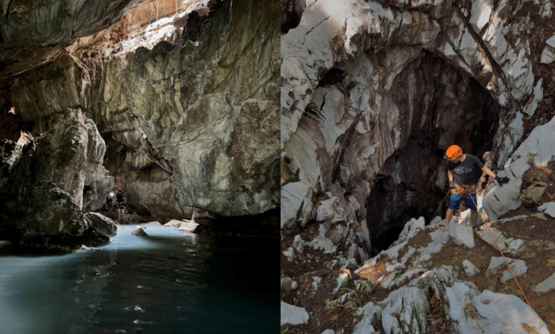 La Cueva de las Sardinas en Tabasco, un lugar fascinante ¿Cómo llegar?