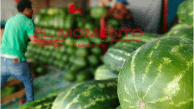 Sandia barata llega desde Chihuahua a Central de Abastos de Villahermosa
