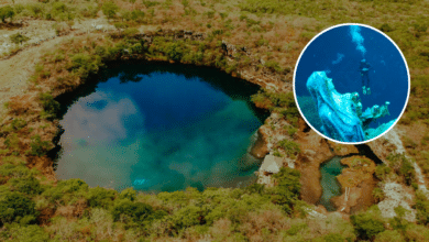 El Cenote Chucumaltik, “La Bella Escondida” de Chiapas, lugar perfecto para bucear