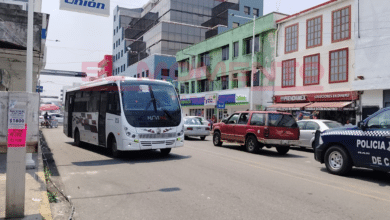 Van 50 unidades nuevas a corredor de Av. Méndez