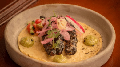 Descubre el sabor de los Zats, el gusano que se come en Chiapas