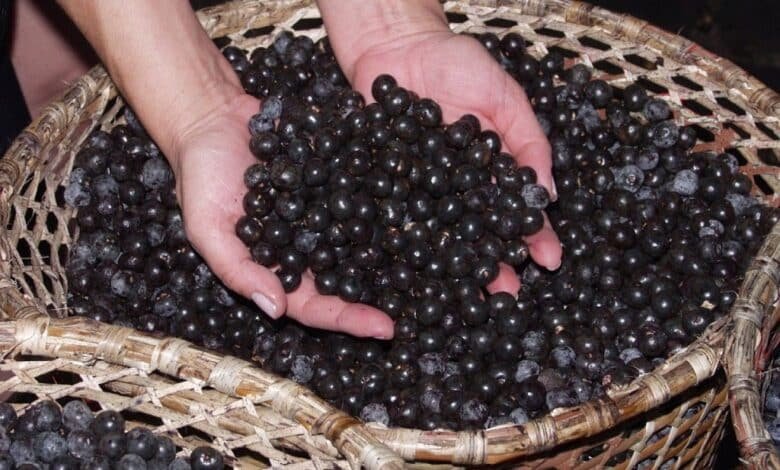 Esta es la fruta amazónica que aumenta el deseo sexual