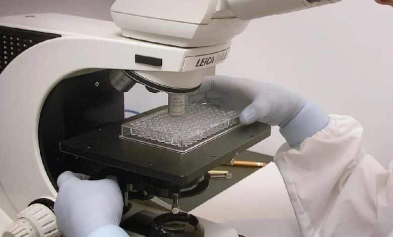 La Cofepris aprueba nueva molécula para tratar cáncer de próstata