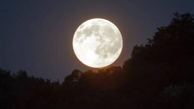 Superluna de Lobo: ¿cuándo ver la primera Luna llena del 2026?