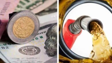 Precio del dólar y gasolina en México: Martes 20 de agosto