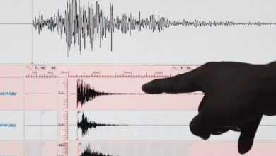 ¿Qué son los microsismos y cuánto pueden medir?