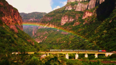 México registra cifra histórica de 2.5 millones de turistas canadienses y derrama de 2 mil 779 mdd