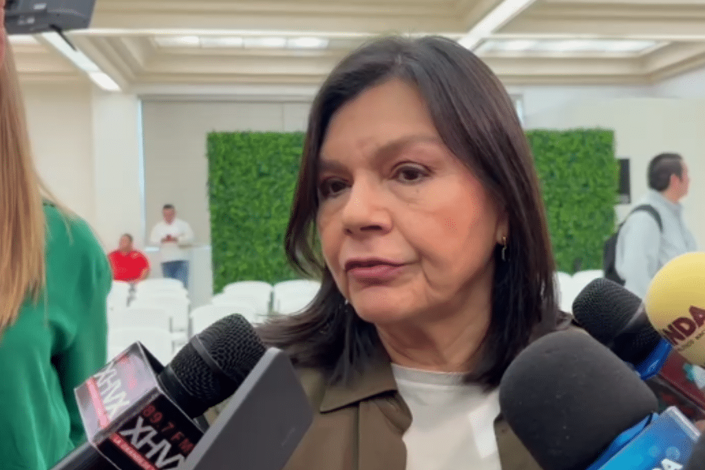 Avanza proyecto integral de vialidad para desaparición de Jardineras en ...