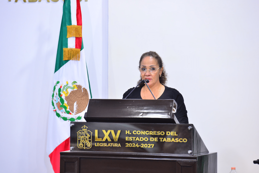 Movimiento Ciudadano advierte riesgo de vacío legal en elecciones de ...