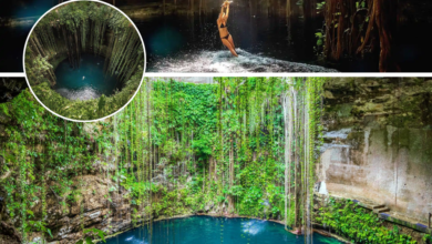 Explora el Mundo de los Cenotes