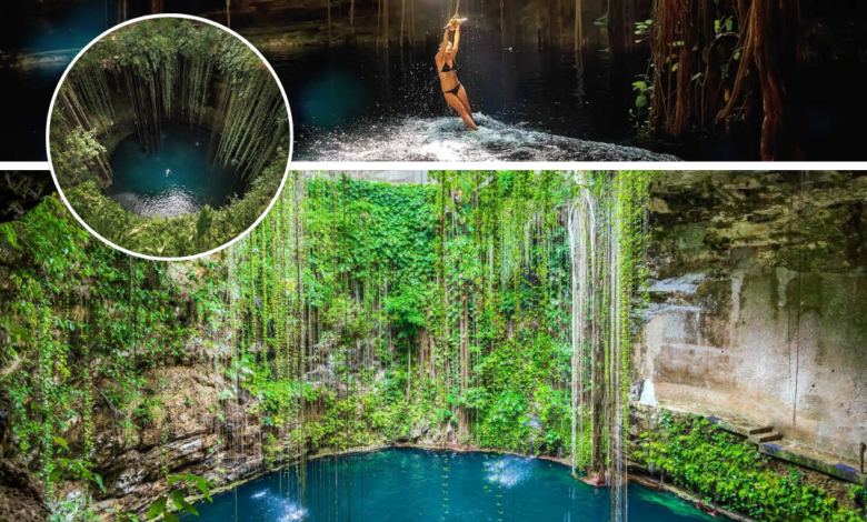 Explora el Mundo de los Cenotes