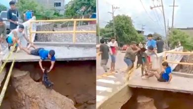 Jóvenes héroes rescatan a un perrito atrapado en un socavón en Acapulco