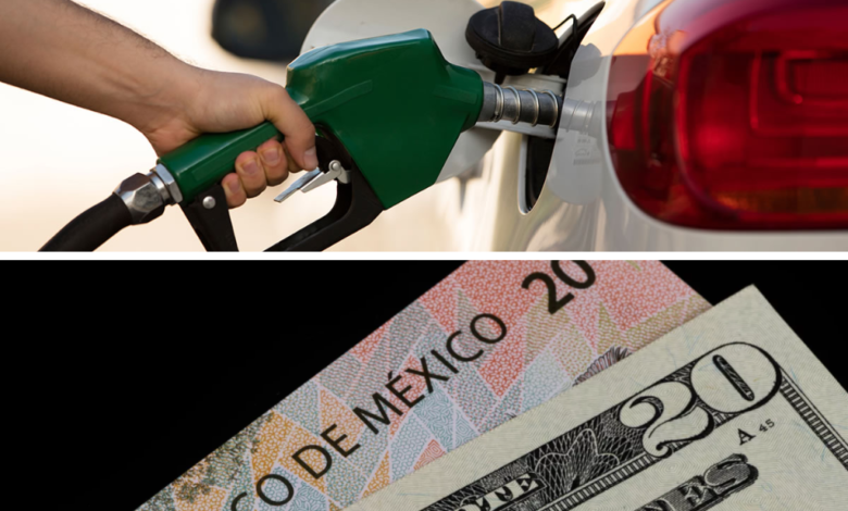 Precio de la gasolina y dólar hoy, viernes 15 de noviembre en México