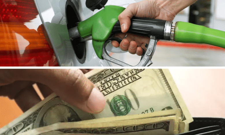 Tipo de Cambio: Precio del dólar y gasolina hoy, lunes 25 de noviembre en México