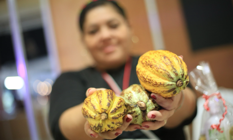 Éxito del pueblo, el Festival del Chocolate 2024; concluyen 4 días de sabor, tradición e historia