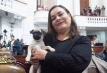 Diputada de Morena busca que negocios de CDMX sean pet friendly