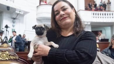 Diputada de Morena busca que negocios de CDMX sean pet friendly