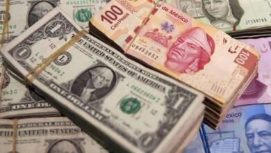 Precio del dólar abre en 19.80 pesos al mayoreo