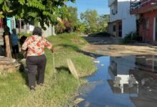 Vecinos de Gaviotas Sur denuncian aguas negras y peligros en calle Pirul