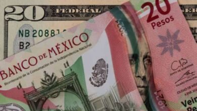 Precio del dólar este miércoles abre al alza en 20.23 pesos al mayoreo