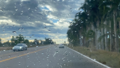 Lloviznas y vientos de hasta 30 kph se esperan este sábado en la entidad