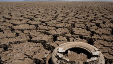 sequía hasta mayo de 2025