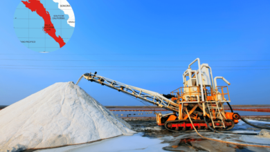 La sal de Guerrero Negro el oro blanco que impulsa la gastronomía sudcaliforniana