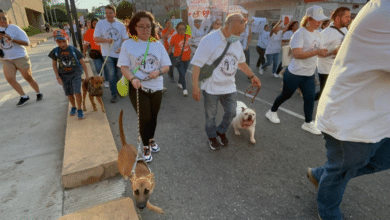 Marchan tabasqueños contra el maltrato animal