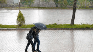 Clima para este 30 de enero; se pronostican intervalos de chubascos en estos estados