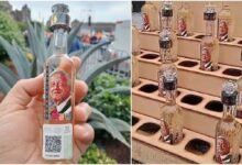 Venden Tequila con imagen de AMLO en el Zócalo