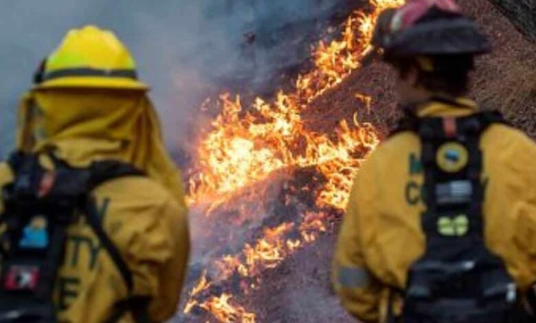 Las teorías de conspiración sobre origen de incendios en California