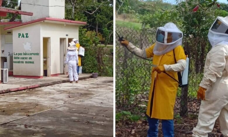 Combate Protección Civil de Centro plaga de gusanos en escuela