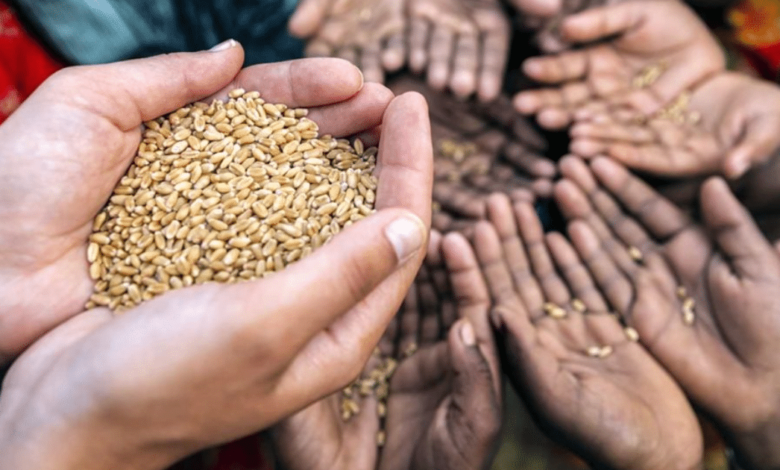 Cambio climático y gastronomía el impacto en los alimentos que consumimos