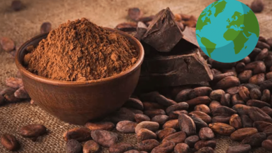 El origen del cacao y su impacto en la gastronomía mundial