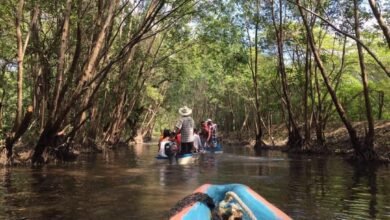 México Celebra el Día Mundial de los Humedales: Un Tesoro de Biodiversidad y Regulación Hídrica